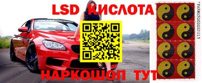гидропоника Заводоуковск
