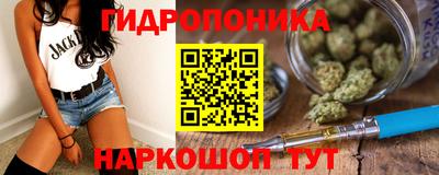 гидропоника Заводоуковск