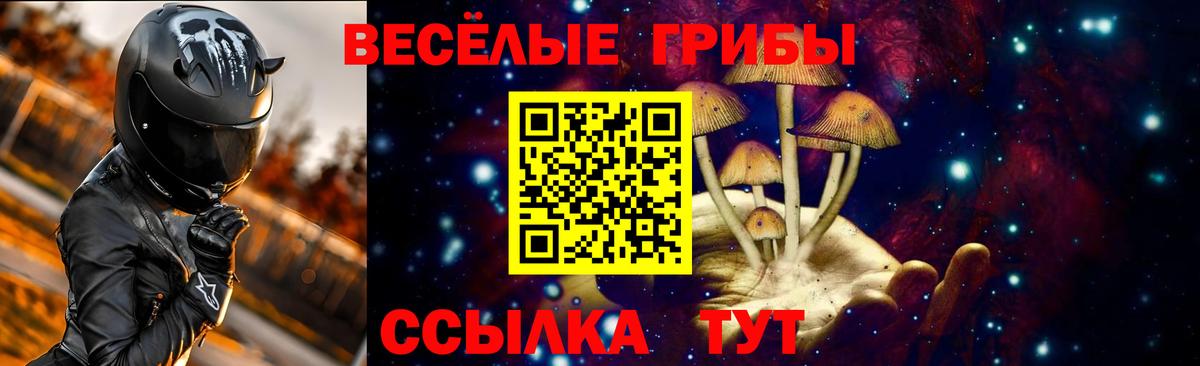 Псилоцибиновые грибы Psilocybe  Псилоцибиновые грибы Cubensis  Кунгур  Вход с VPN 